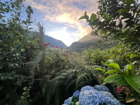 Cottage vue mer et montagne - 4 pers., Gite 4 personnes à São Vicente - Photo 31