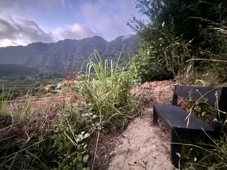 Cottage vue mer et montagne - 4 pers., Gite 4 personnes à São Vicente - Photo 32