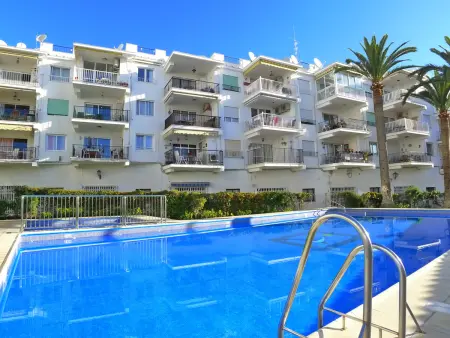 Appartement confortable, vue mer et montagne - 4 pers. - Photo 1