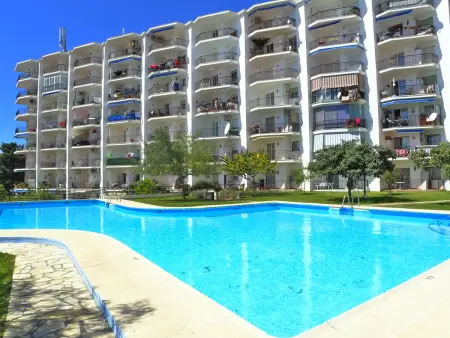 Appartement confortable, vue mer et montagne - 4 pers. - Photo 13