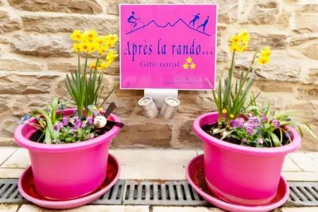 Après la Rando, Après la Rando: Gîte familial en pleine nature dans les Ardennes - Photo 25