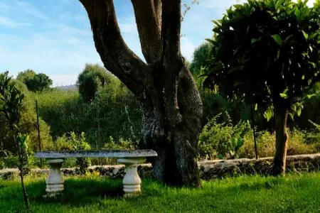Sogno di Giove Casa Giove, Maison Sogni di Giove avec piscine privée - Photo 16
