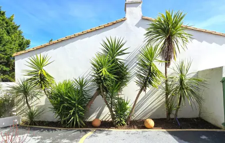 Charmante maison avec piscine, Maison 9 personnes à La Couarde sur Mer - Photo 10