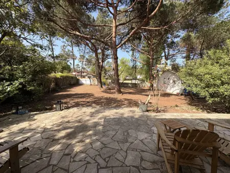 Villa calme, animaux admis - 7 pers., Villa 7 personnes à Lège Cap Ferret Le Cap Ferret - Photo 13