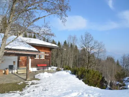 Val Pintga, (Flims Fidaz), 449, Appartement 6 personnes à Flims - Photo 7