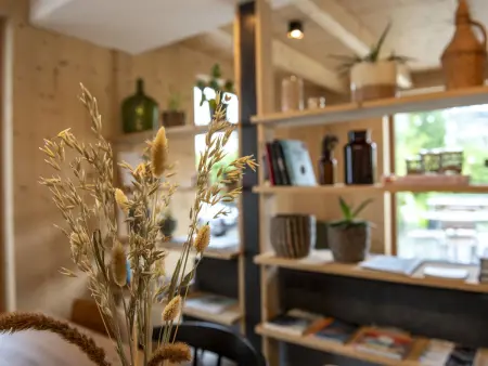 Flem Mountain Lodge, (Flims Waldhaus). Moderne neue 4.5 Ferienwohnung - Photo 5