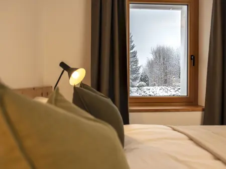 Flem Mountain Lodge, (Flims Waldhaus). Moderne neue 4.5 Ferienwohnung - Photo 12