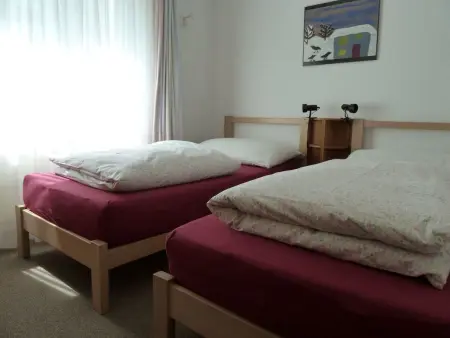 Surrieven / Zwicker, (Laax Dorf), 257, Appartement 4 personnes à Laax - Photo 4