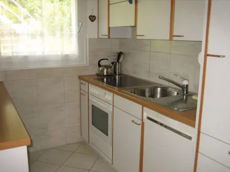 Surrieven / Zwicker, (Laax Dorf), 257, Appartement 4 personnes à Laax - Photo 5