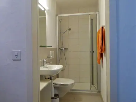 Surrieven / Zwicker, (Laax Dorf), 257, Appartement 4 personnes à Laax - Photo 6