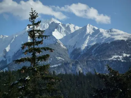 Mountain View Val Mulin 8, (Laax Murschetg), 276 - Photo 13