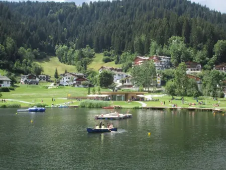 La Prada, (Laax Dorf), 20047, Appartement 3 personnes à Laax - Photo 36