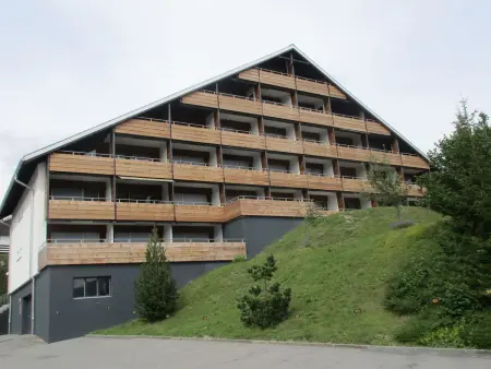 La Prada, (Laax Dorf), 20047, Appartement 3 personnes à Laax - Photo 40