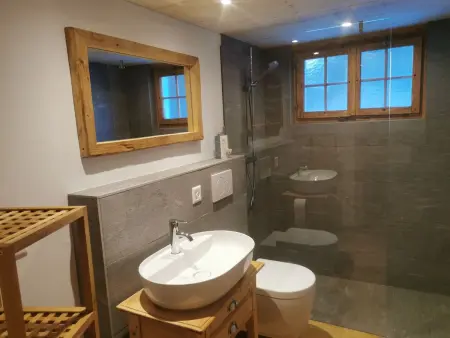 ANSAUNA appartaments, (Segnas/Disentis), 1030, Appartement 6 personnes à Disentis - Photo 7