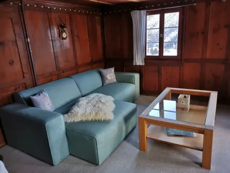 ANSAUNA appartaments, (Segnas/Disentis), 1030, Appartement 6 personnes à Disentis - Photo 8