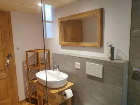 ANSAUNA appartaments, (Segnas/Disentis), 1030, Appartement 6 personnes à Disentis - Photo 9