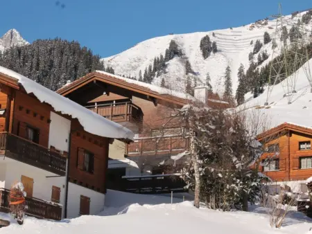 Huggel, (Camischolas/Sedrun)., Appartement 4 personnes à Camischolas - Photo 17