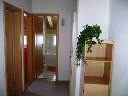 Casa Aurora Hendry-Canepa, (Sedrun)., Appartement 6 personnes à Sedrun - Photo 5