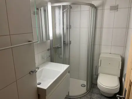 Sum il Vitg, Decurtins, (Sedrun), 166.01, Appartement 6 personnes à Sedrun - Photo 7