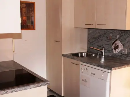 Casa Nual Stelzer, (Sedrun)., Appartement 3 personnes à Sedrun - Photo 6