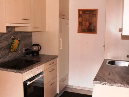 Casa Nual Stelzer, (Sedrun)., Appartement 3 personnes à Sedrun - Photo 7