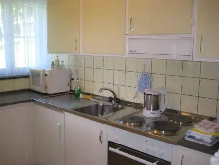 Ferienwohung Cavegn-Deplaz, (Sedrun), 126.01, Appartement 5 personnes à Sedrun - Photo 3
