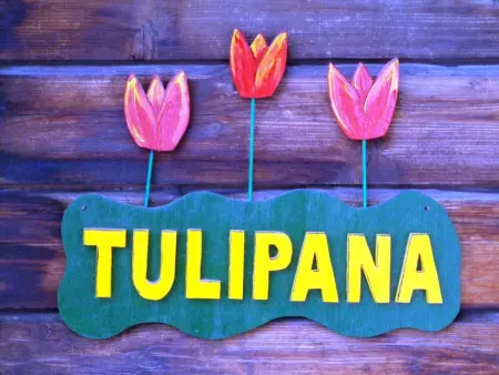Tulipana Berther, (Sedrun), 103.05, Appartement 7 personnes à Sedrun - Photo 12