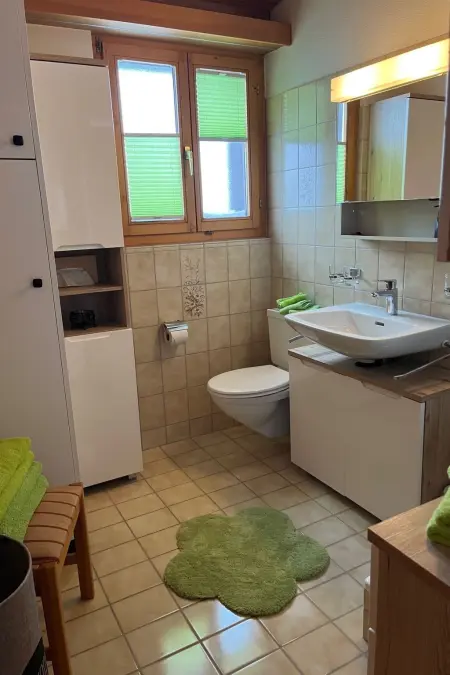 Casa Tresch Sedrun, (Tavetsch)., Appartement 4 personnes à Sedrun - Photo 4