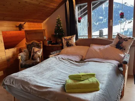 Casa Tresch Sedrun, (Tavetsch)., Appartement 4 personnes à Sedrun - Photo 5
