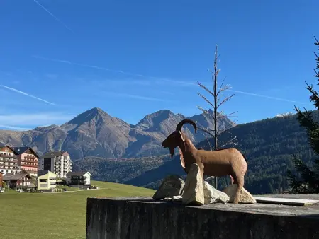 Casa Tresch Sedrun, (Tavetsch)., Appartement 4 personnes à Sedrun - Photo 12