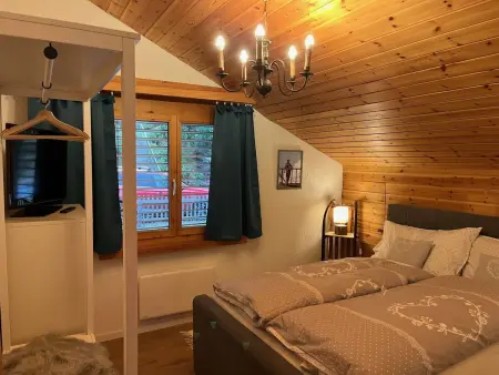 Casa Tresch Sedrun, (Tavetsch)., Appartement 4 personnes à Sedrun - Photo 21