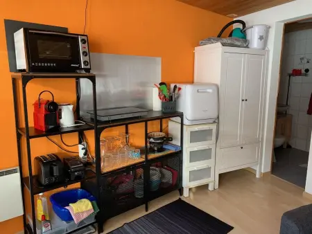Chasa Bazzi, (Scuol), Appartement 2 personnes à Scuol - Photo 5