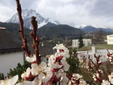 Chasa Bazzi, (Scuol), Appartement 2 personnes à Scuol - Photo 36