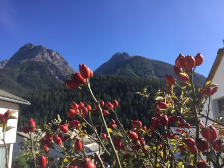 Chasa Bazzi, (Scuol), Appartement 2 personnes à Scuol - Photo 37
