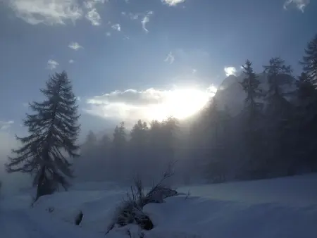 Chasa Bazzi, (Scuol), Appartement 2 personnes à Scuol - Photo 47