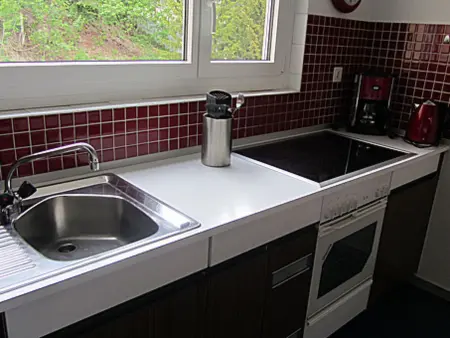 Brentsch Park, (Scuol), Appartement 4 personnes à Scuol - Photo 6