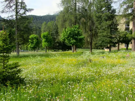 Brentsch Park, (Scuol), Appartement 4 personnes à Scuol - Photo 11