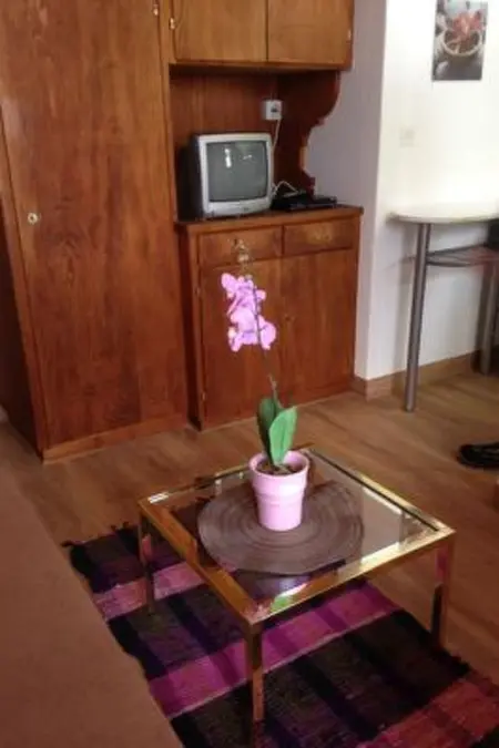 Ferienwohnungen Chasa Valär, (Scuol), Appartement 2 personnes à Scuol - Photo 3