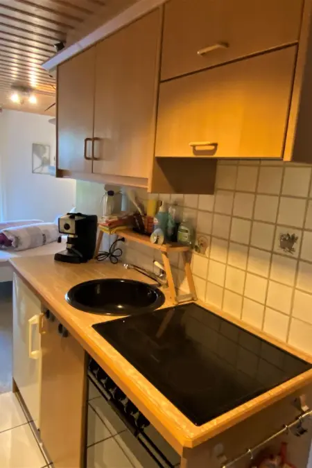 Ferienwohnungen Senda 495D, (Scuol), Appartement 2 personnes à Scuol - Photo 6