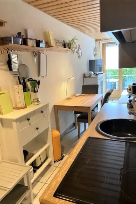 Ferienwohnungen Senda 495D, (Scuol), Appartement 2 personnes à Scuol - Photo 7