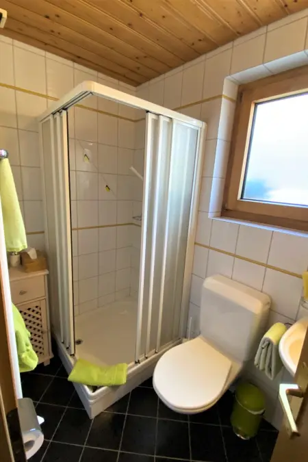 Ferienwohnungen Senda 495D, (Scuol), Appartement 2 personnes à Scuol - Photo 9