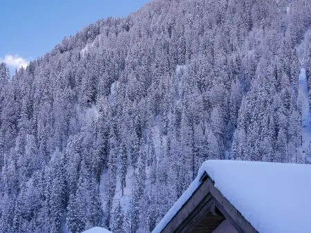 APARTMENT BERGWALDZAUBER – Haus zur Post, (Samnaun-Compatsch). - Photo 26