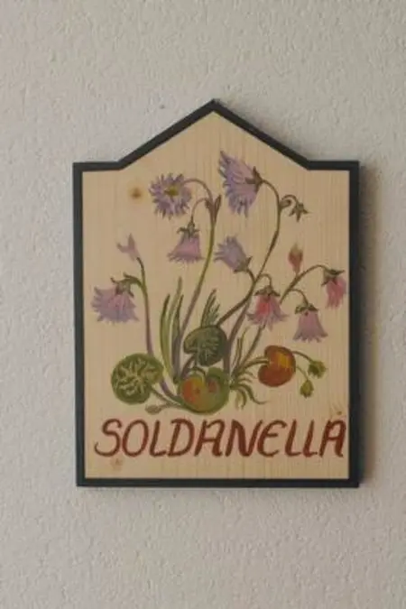 Chasa SERAINA, (Samnaun-Dorf), Appartement 2 personnes à Samnaun - Photo 4
