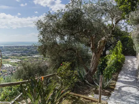 Casa Frantoio di Mommio, Maison 8 personnes à Corsanico - Photo 36