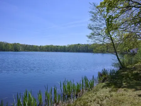 Le Petit Bois, Magnifique maison dans un parc de vacances boisé - Photo 31