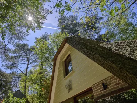 Le Petit Bois, Magnifique maison dans un parc de vacances boisé - Photo 35
