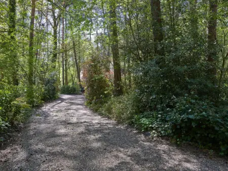 Le Petit Bois, Magnifique maison dans un parc de vacances boisé - Photo 41