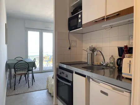 Appartement vue mer exceptionnelle - 3 pers., Appartement 3 personnes à Trégastel - Photo 2