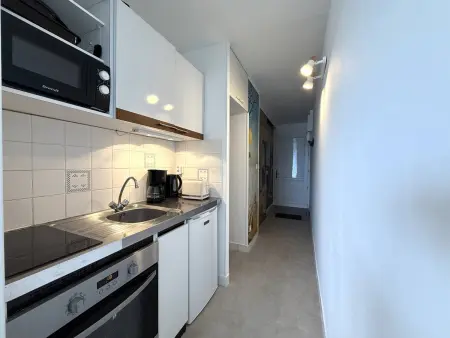 Appartement vue mer exceptionnelle - 3 pers., Appartement 3 personnes à Trégastel - Photo 15