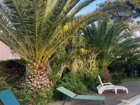 Villa avec piscine privative, animaux admis - 8 pers. - Photo 19